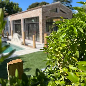hotel-beausejour-les-palmiers.fr-provencehotel.com/